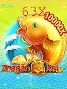 Descubra o Fascinante Mundo de DragonKoi: Tudo o Que Você Precisa Saber